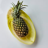 The Essential Bowl