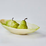 The Essential Bowl