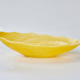 The Essential Bowl